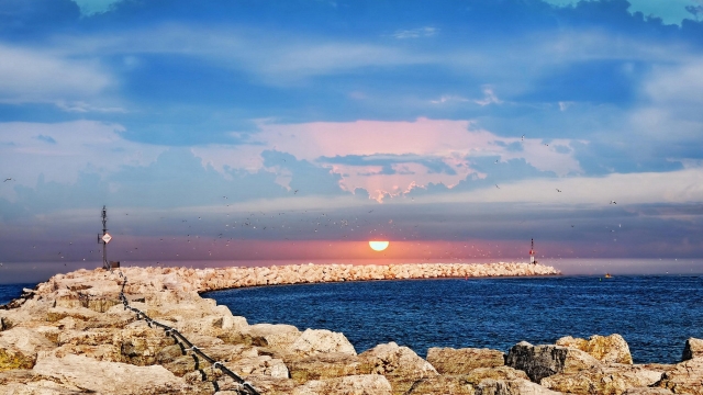 Kaiyun体育:健身上衣女室内